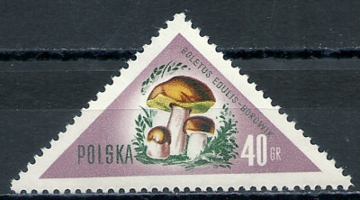 1959 r. Luzak Fi 950**.