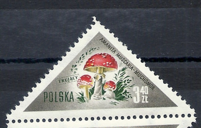 1959 r. Luzak Fi 954**.