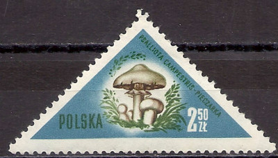 1959 r. Luzak Fi 953**.