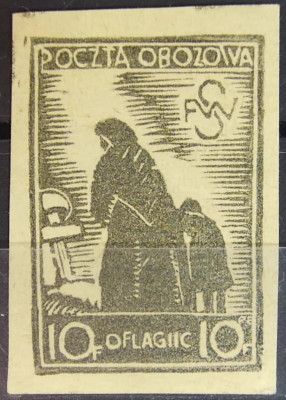 2 dy2 - Ob&oacute;z II C - WOLDENBERG - "Wdowa" gw. Walocha