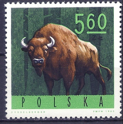 1965 r. Luzak Fi 1494**.