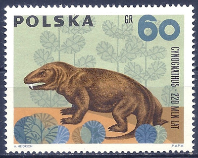 1966 r. Luzak Fi 1510**.