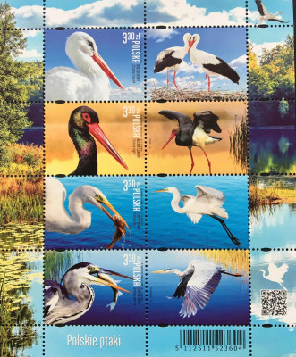 BL 352 , Ark 5112-15 ** 2020 - Polskie ptaki