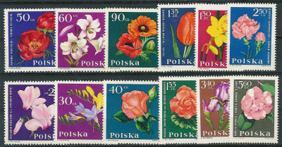 ZC 1392-03 : Kwiaty ogrodowe