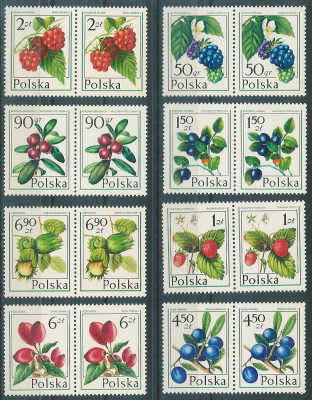 ZC 2340-47 2po : Owoce leśne