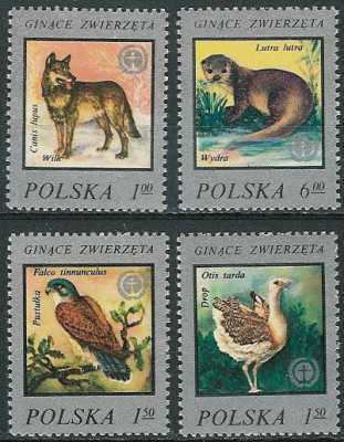 ZC 2357-60 : Ginące zwierzęta