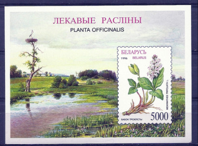 1996 r Białoruś Blok 11**