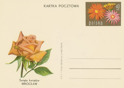 Cp 303 : Święto Kwiat&oacute;w