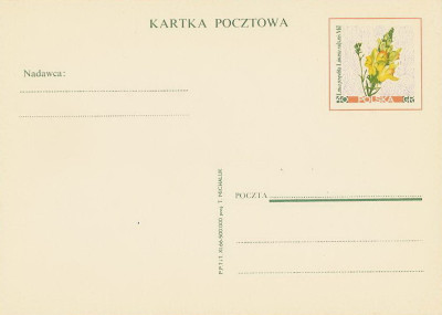 Cp 317 : Kwiaty polne