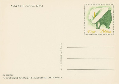 Cp 434 : Wystawa kwiat&oacute;w Dni Żywiecczyzny