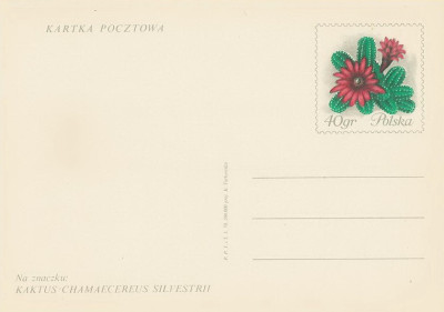 Cp 436 : Wystawa kwiat&oacute;w Dni Żywiecczyzny