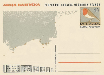 Cp 455 : Badania wędr&oacute;wek ptak&oacute;w