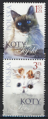 Fi 4318 + Fi 4321 parka pionowa czysta** Koty