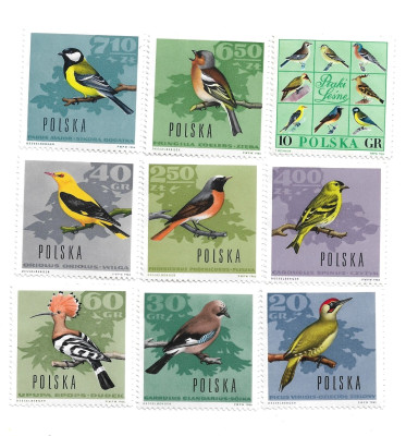 Polska - seria 1570-1578 ** MNH