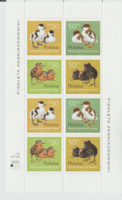 Pisklęta zagniazdowniki 1997 - Arkusik I