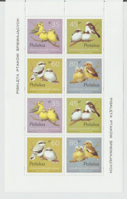 Pisklęta ptak&oacute;w śpiewających 1995 - Arkusik II