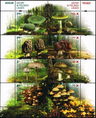 2012 r.  Blok 242**.