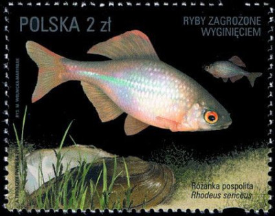 2016 r. Fi 4711 - 4714**.