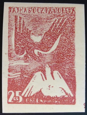 Fi 17 * 25 gr. - "Obrona Warszawy" 1943 - NOWODRUK