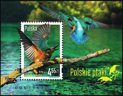 2013 r.  Blok 245**.