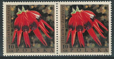 luzak ZC 1689 2po