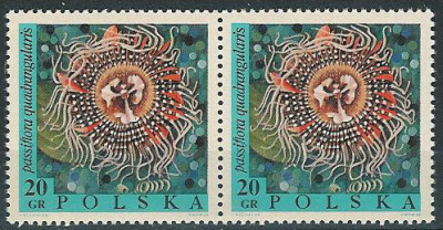 luzak ZC 1690 2po
