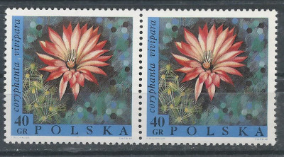 luzak ZC 1692 2po