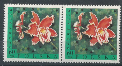 luzak ZC 1693 2po