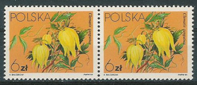 luzak ZC 2759 2po