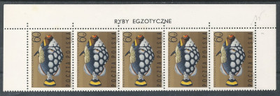luzak ZC 1603 pasek