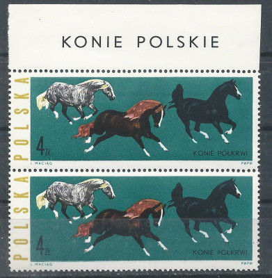 luzak ZC 1307 2pi nazwa