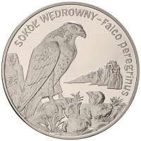 2008 r. Moneta 20 zł Sok&oacute;ł Wędrowny