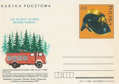 Cp 905 : Ochrona przeciwpożarowa las&oacute;w