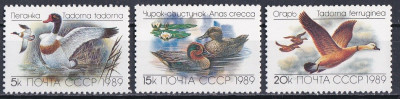 Ptaki kaczki ZSRR 1989 czyste **