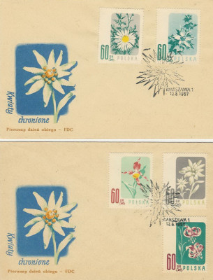 FDC 876-80 #2: Kwiaty chronione