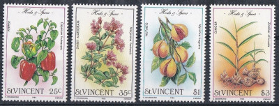 Zioła i przyprawy Św. Wincenty 1985 czyste **