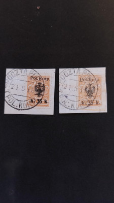 1918 I Korpus Dowbora Musnickiego Fi 13 A i B