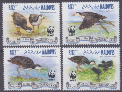 Ptaki WWF Malediwy 2013 czyste **
