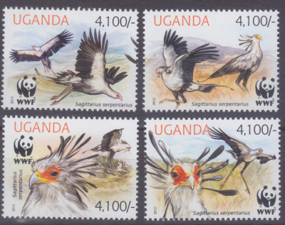 Ptaki WWF Uganda 2012 czyste **