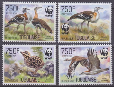 Ptaki WWF Togo 2014 czyste **