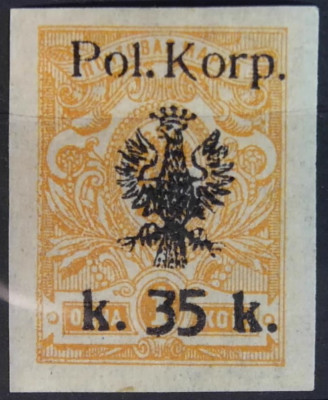 Fi 13b * Poczta I Korpusu Polskiego gen. Muśnickiego 1918