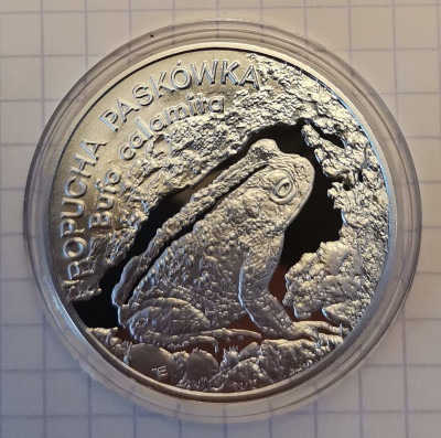 20 ZŁ ROPUCHA PASK&Oacute;WKA 1988 R MENNICZA