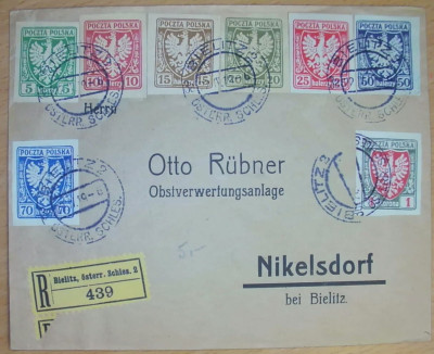 Fi 57, Fi 59 i inne Bilsko Biała i Olsz&oacute;wka 1919