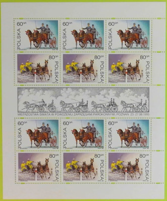 Fi 3405-3406 ** Mistrzostwa Świata w Powożeniu Zaprzęgami