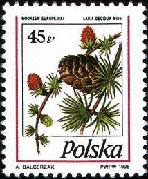 1995 r. Fi 3382 - 3383**.