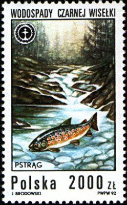 1992 r. Fi 3231 - 3234**.