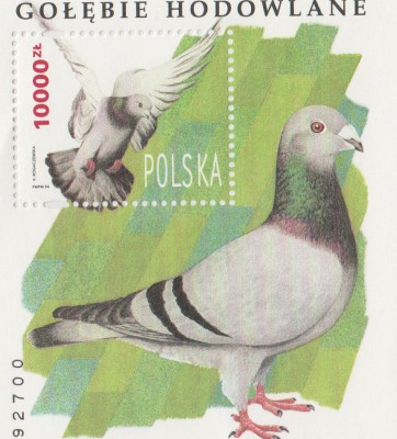 Blok 112 ** Gołębie hodowlane 1994