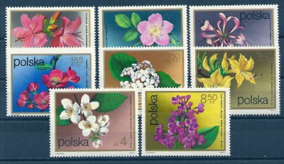 1972 r. Fi  2067 - 2074**.
